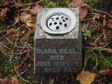 image of grave number 954518